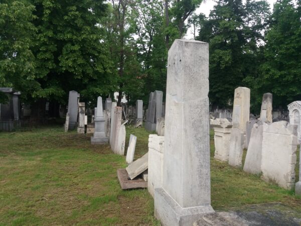 Jüdischer Friedhof Währing (Foto: Susanne Claudine Pils)