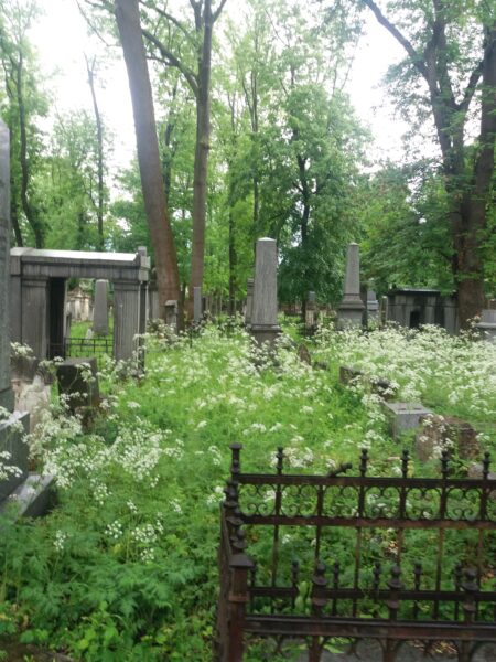 Jüdischer Friedhof Währing (Foto: Susanne Claudine Pils)